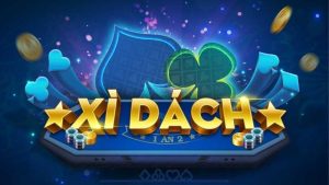 Tính minh bạch trong giao diện và chính sách